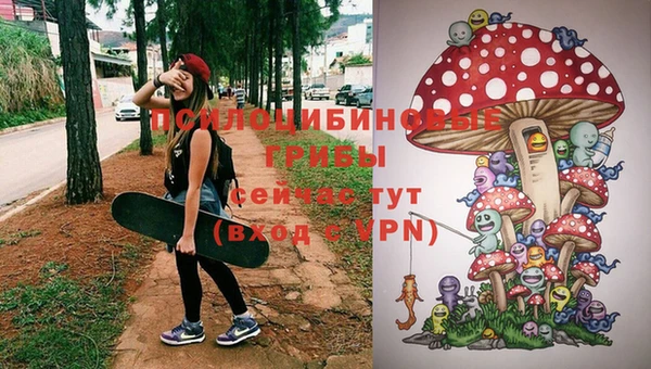 дживик Белоозёрский