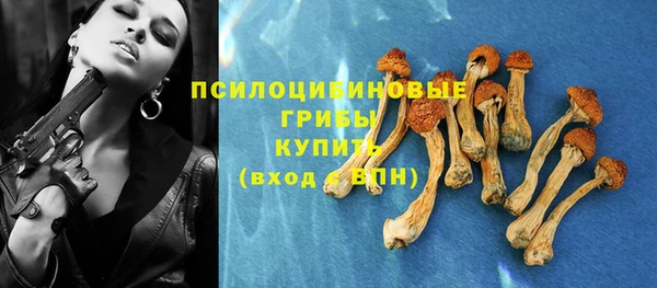 МДПВ Беломорск