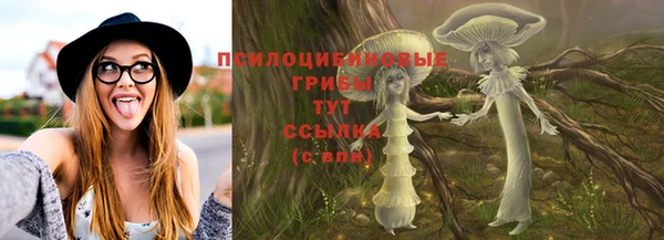 мдпв Белокуриха