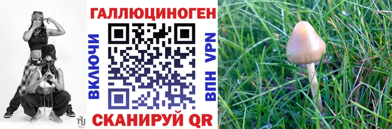 Псилоцибиновые грибы мицелий  наркота  Удачный 